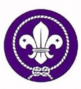 wosm--1-.jpg